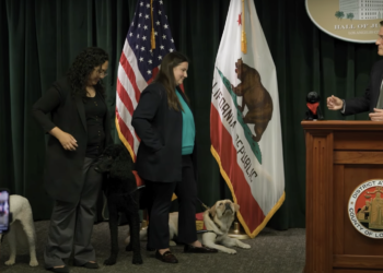 DA Hochman swears in three pooches for K-9 unit